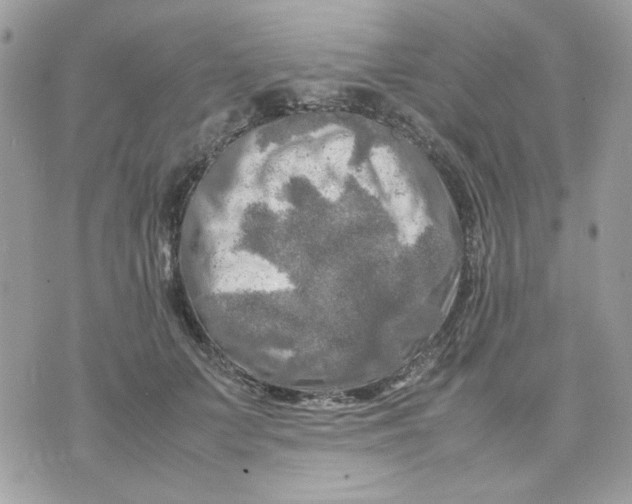 X0000075380703200609291551