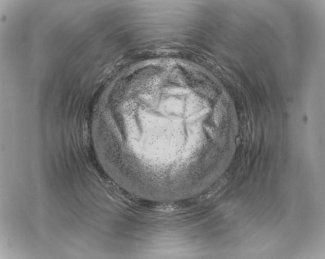 X0000075380704200609291551