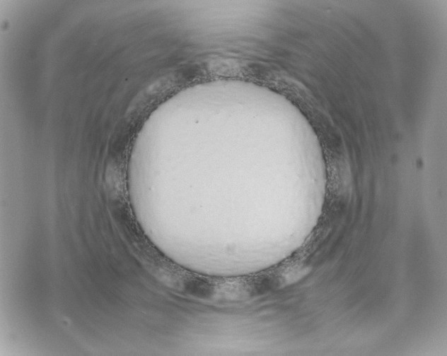 X0000075380705200609291551