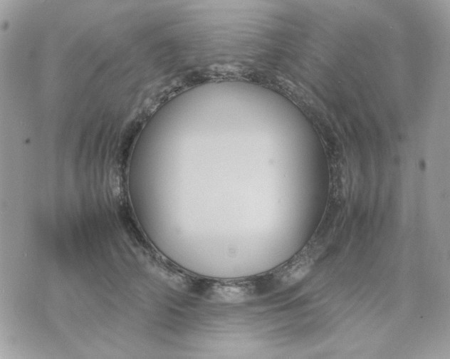 X0000075380706200609291551