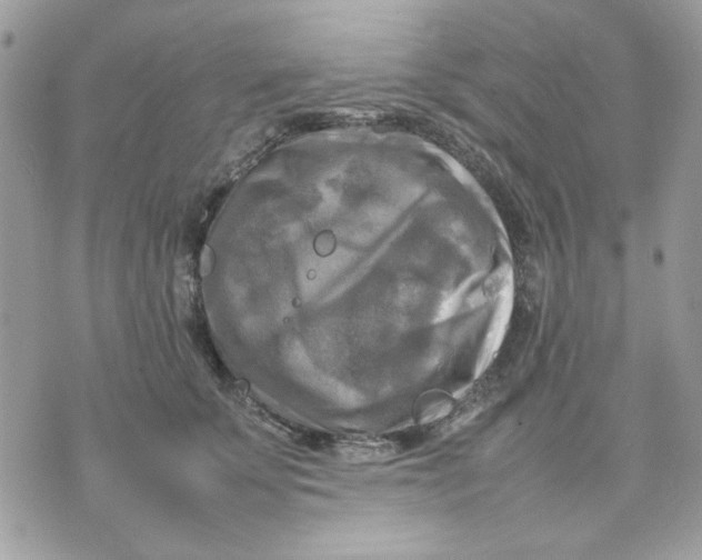 X0000075380707200609291551