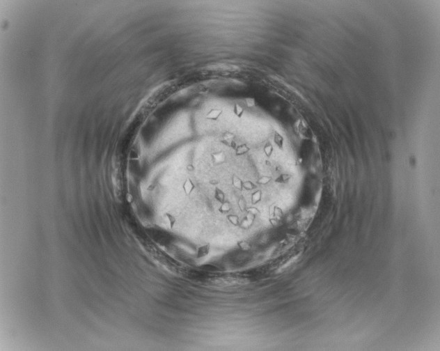 X0000075380708200609291551