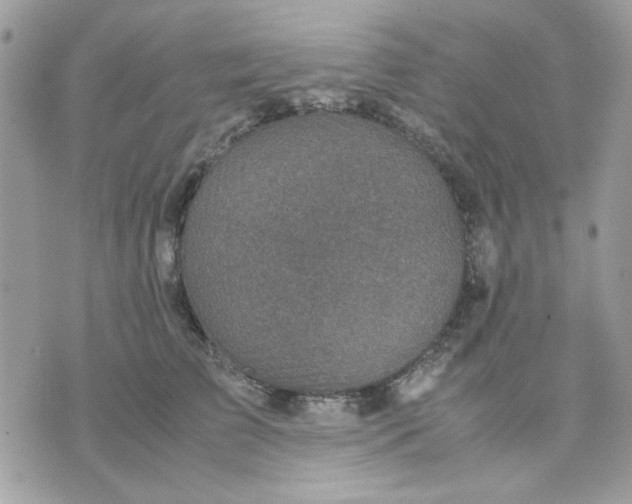 X0000075380709200609291551