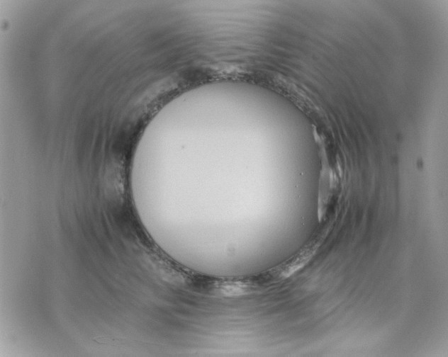 X0000075380710200609291551