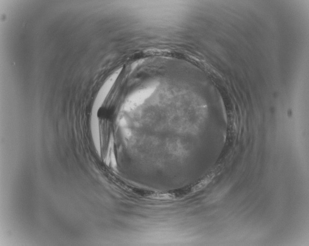 X0000075380711200609291551