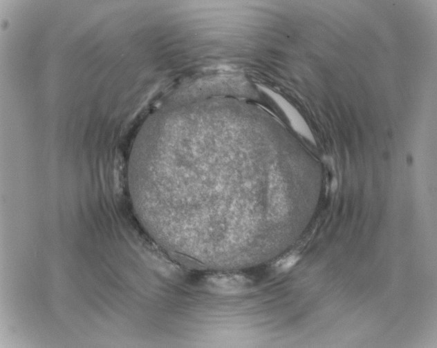 X0000075380712200609291551