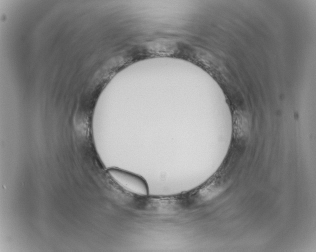 X0000075380713200609291551