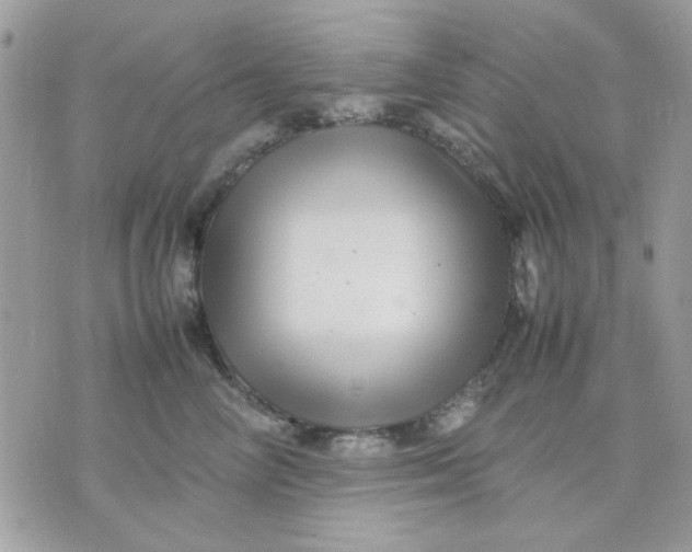 X0000075380714200609291551