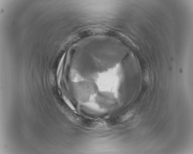 X0000075380715200609291551