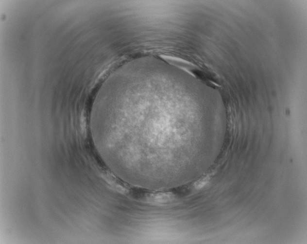 X0000075380716200609291551