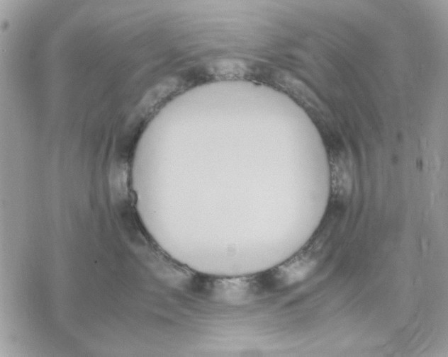 X0000075380717200609291551