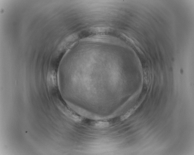 X0000075380718200609291551