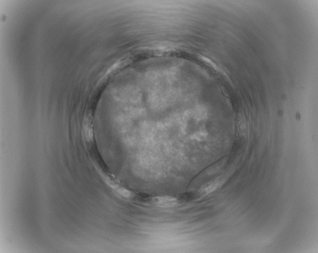 X0000075380719200609291551