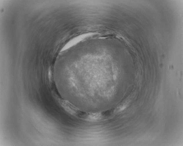 X0000075380720200609291551