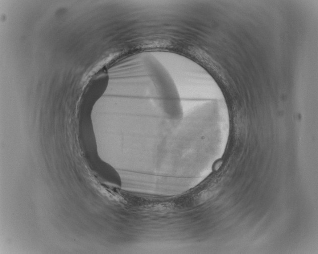 X0000075380721200609291550