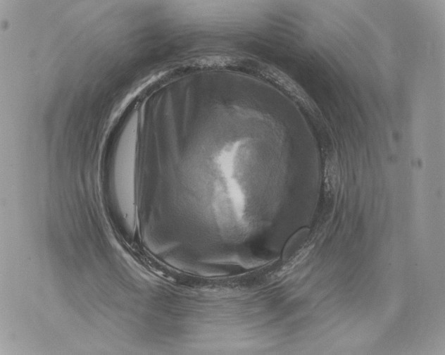 X0000075380722200609291550