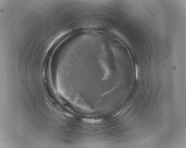 X0000075380723200609291550