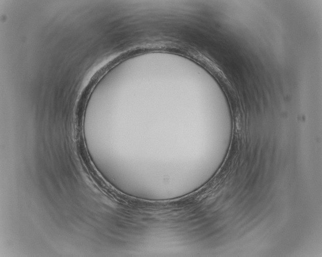 X0000075380724200609291550