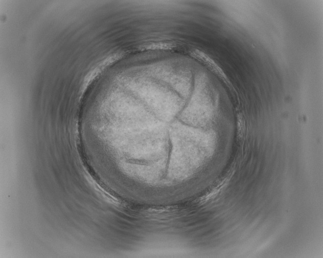 X0000075380725200609291550