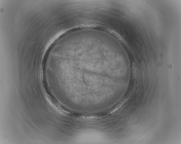 X0000075380726200609291550