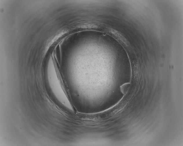 X0000075380727200609291550