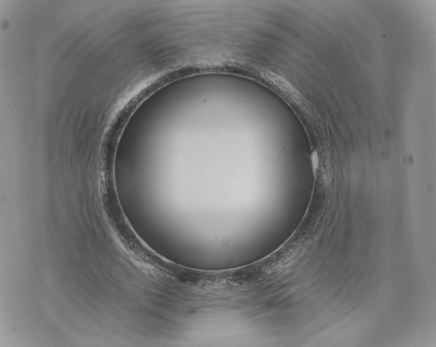 X0000075380728200609291550