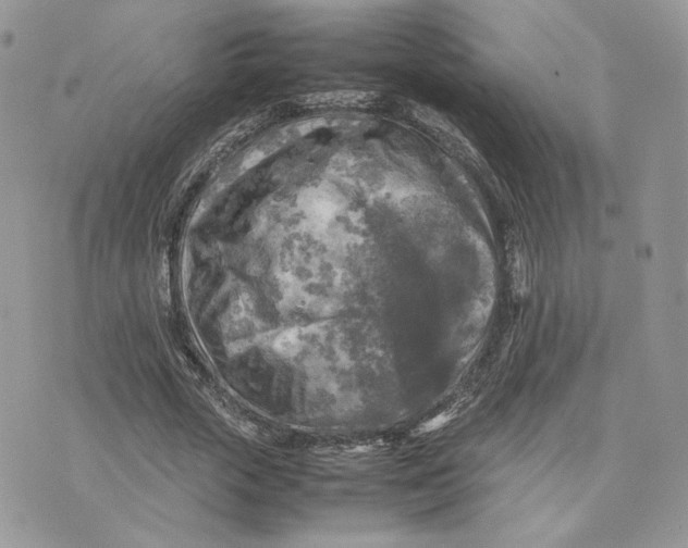 X0000075380729200609291550