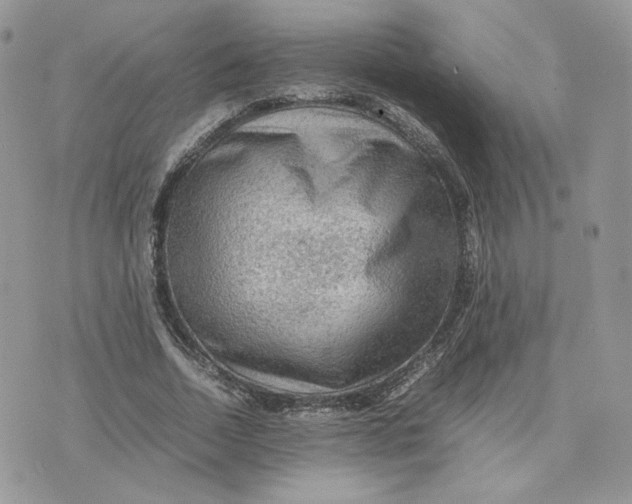 X0000075380730200609291550