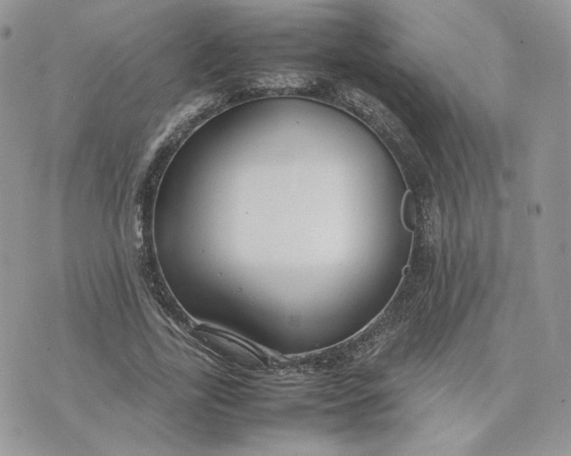 X0000075380731200609291550