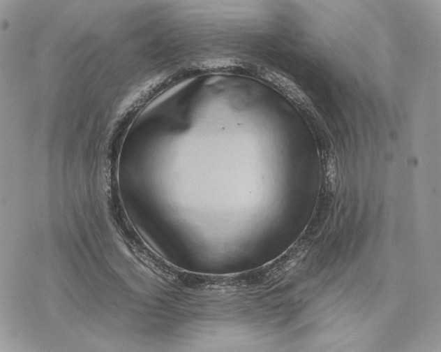 X0000075380732200609291550