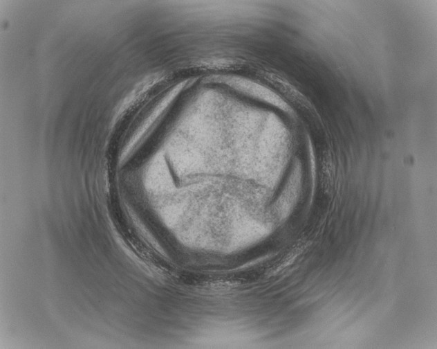 X0000075380734200609291550