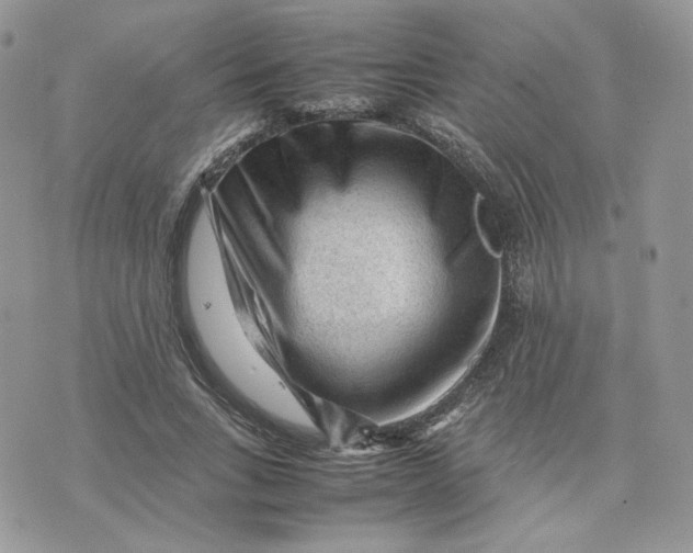 X0000075380735200609291550