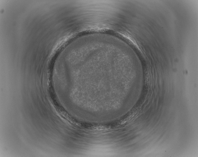 X0000075380736200609291550