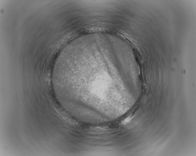 X0000075380737200609291550