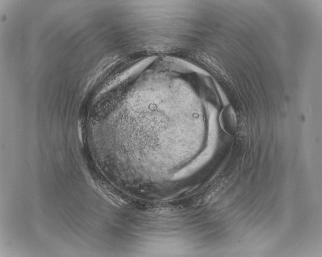 X0000075380738200609291550