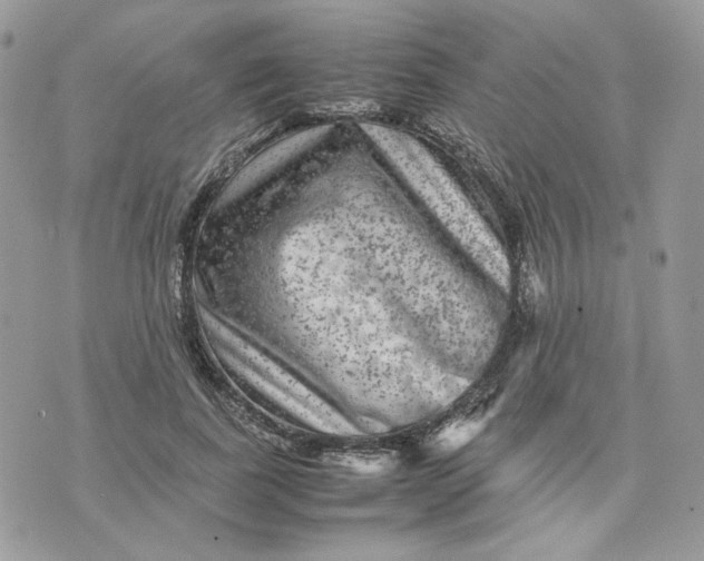 X0000075380739200609291550