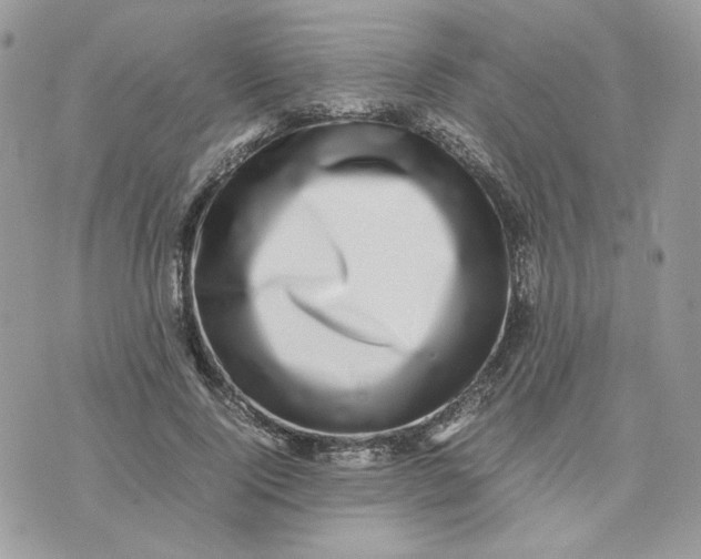 X0000075380740200609291550