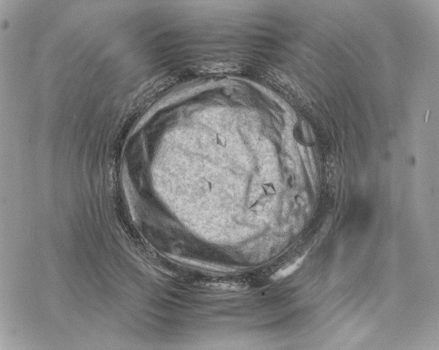 X0000075380741200609291550