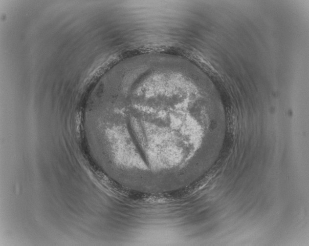 X0000075380742200609291550