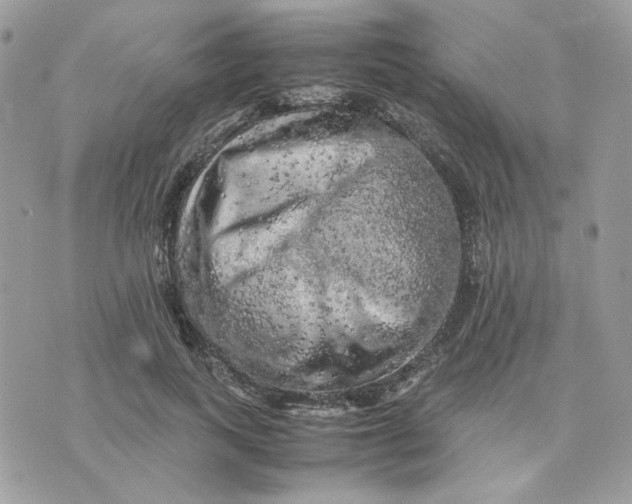 X0000075380743200609291550