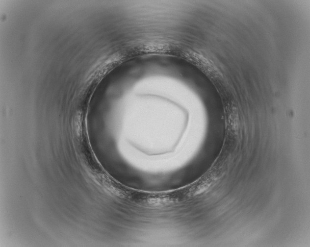 X0000075380744200609291550