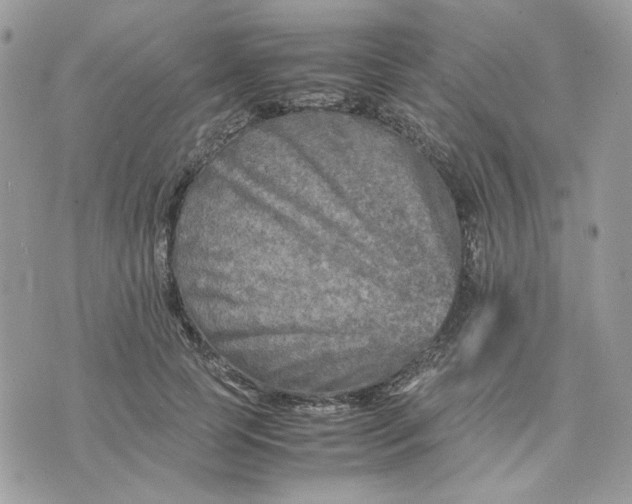 X0000075380745200609291550