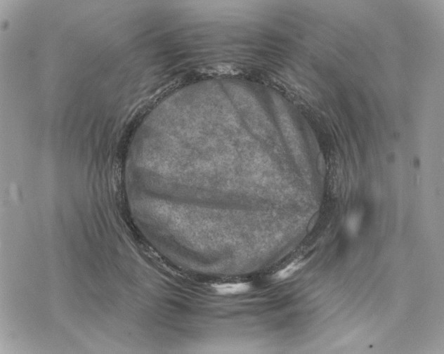 X0000075380747200609291550