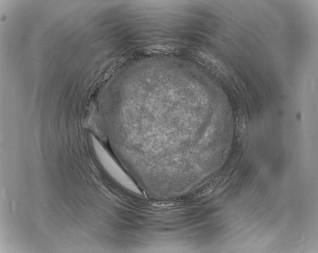 X0000075380749200609291550