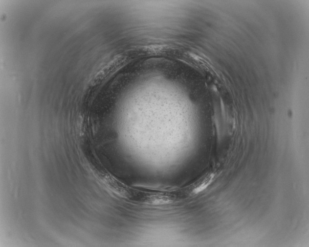 X0000075380750200609291550