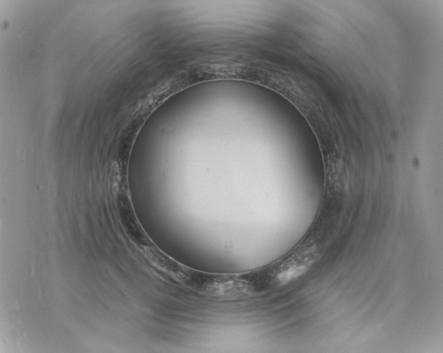 X0000075380752200609291551