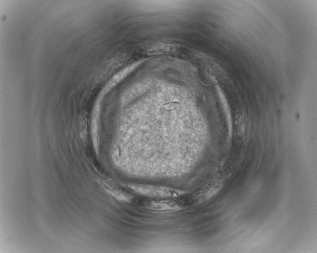 X0000075380753200609291551