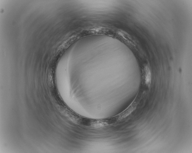 X0000075380754200609291551