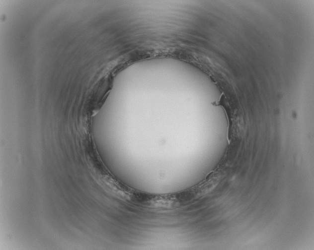 X0000075380756200609291551