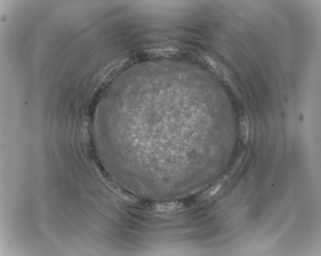 X0000075380757200609291551